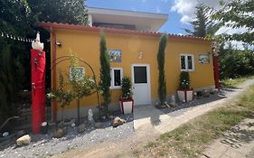 Casa Esperança Centro Vila Real